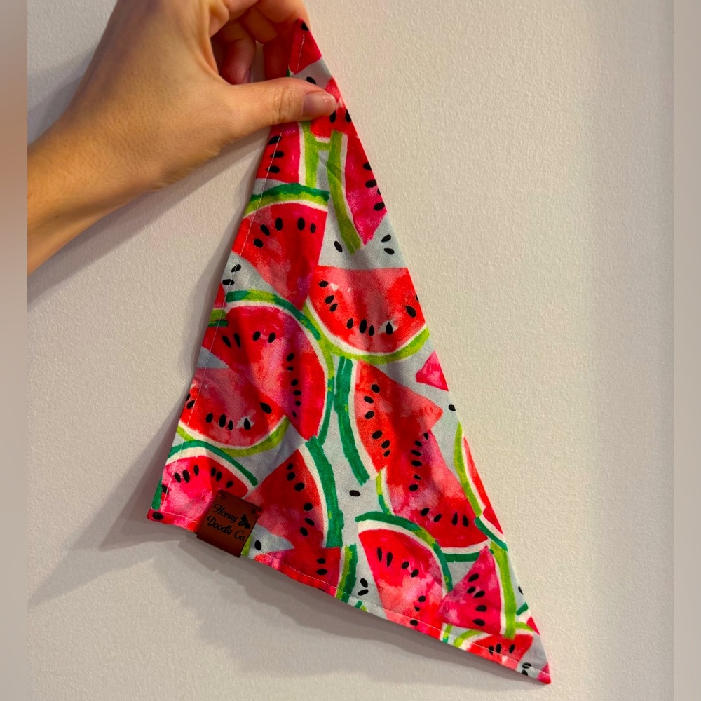 Watermelon Dog bandana -brand new! Never worn